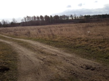 Działka budowlana Szprotawa