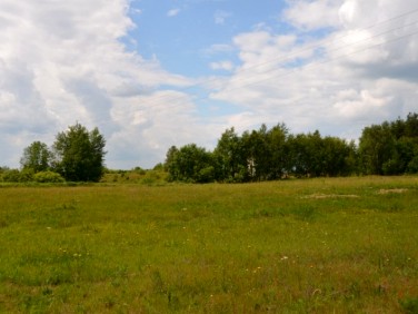 Działka budowlana Błotnia