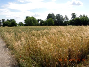 Działka budowlana Przeworsk