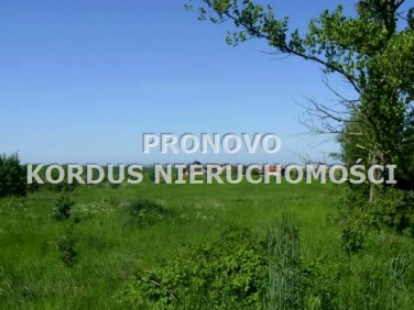 Działka budowlana Siadło Dolne