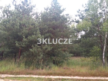 Działka rekreacyjna Krasne