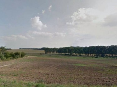 Pusta działka Lubiatowo