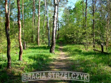 Działka budowlana Sulejówek