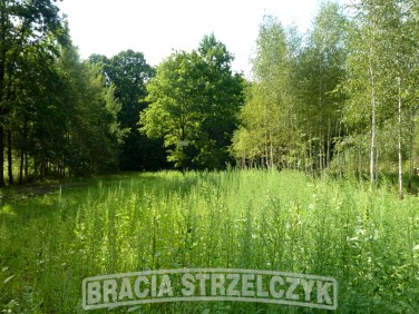 Działka budowlana Sulejówek