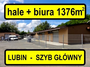 Budynek użytkowy Lubin sprzedaż