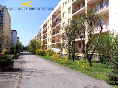 Mieszkanie Zielona Góra