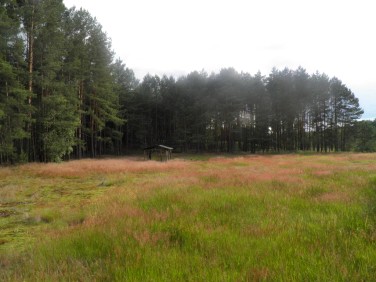 Działka Przychodzko