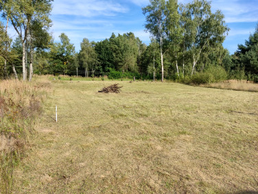 Działka budowlana Płoty