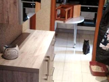 Mieszkanie Stary Targ