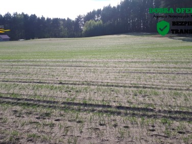 Działka rolna Góra