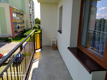 Mieszkanie Piotrków Trybunalski