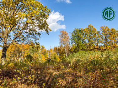 Działka budowlana Sulejówek
