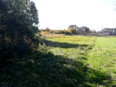 Działka budowlano-rolna Stęszew