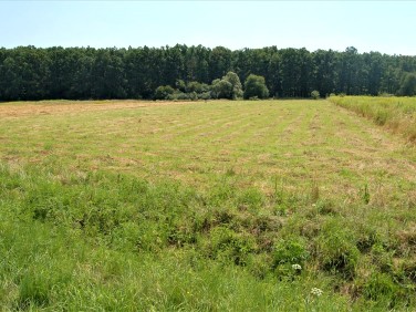 Działka inna sprzedam