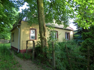 Dom Piotrków Trybunalski