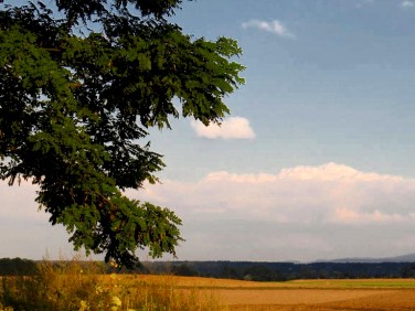 Działka budowlana Góra