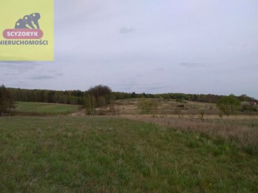 Działka budowlana Szewce