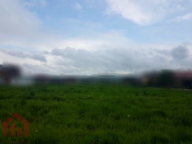 Działka budowlana Krasne