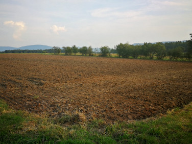 Działka rolna Hecznarowice