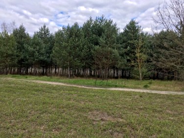 Działka inna Sulejówek sprzedam
