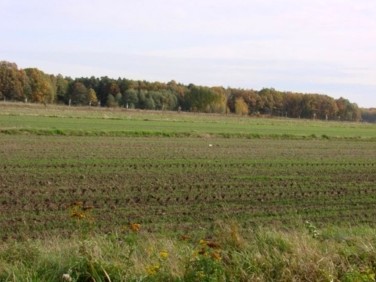 Działka budowlana Laskowice