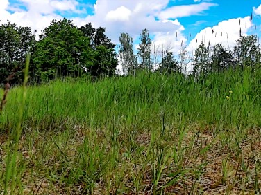 Działka budowlana Granica