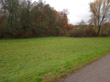 Działka rolna Poręba Żegoty