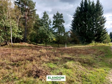 Działka budowlana Lipowo