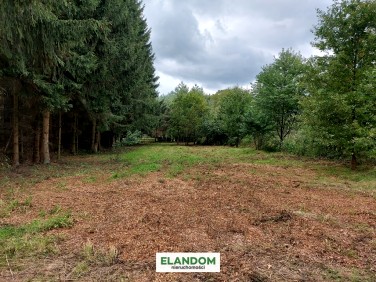 Działka budowlana Lipowo sprzedam