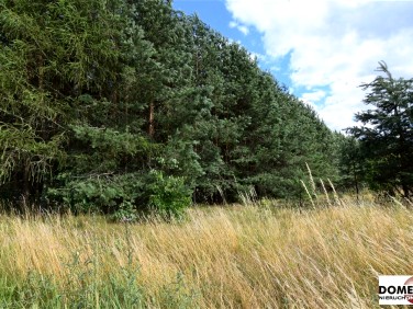 Działka inwestycyjna Białowieża