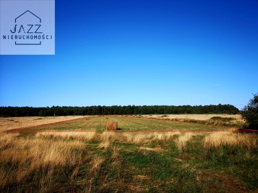 Działka przy lesie