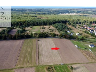 Działka Wierzchucino