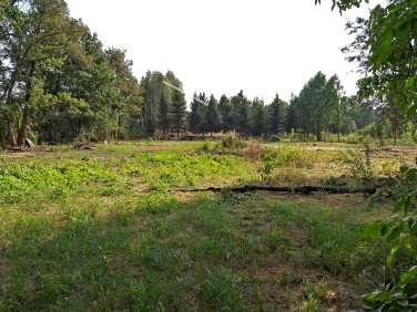 Działka budowlana Sulejówek