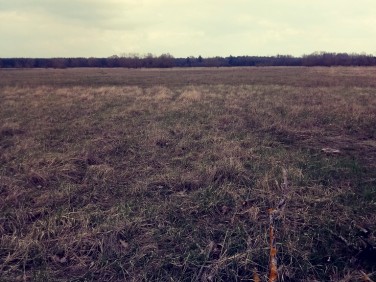 Działka rolna Łęgi