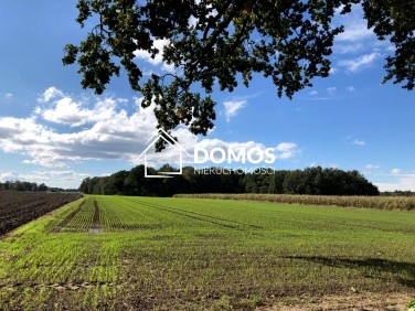 Działka budowlana Góra