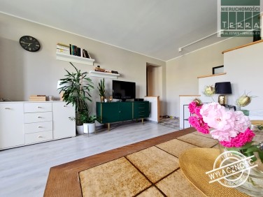 Mieszkanie Zielona Góra