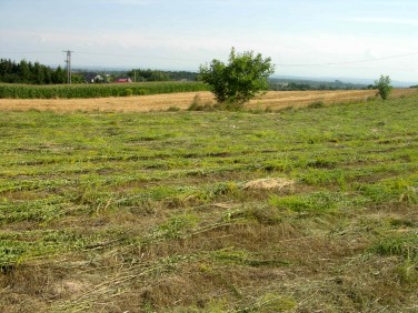 Działka budowlana Kraków