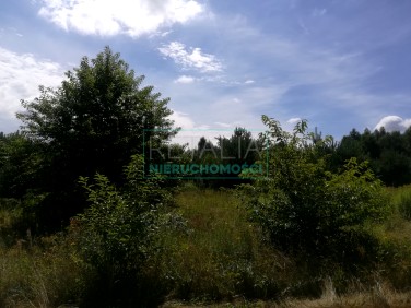 Działka budowlana Żelechów