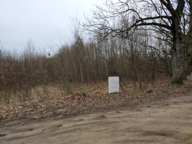 Działka budowlana Białowieża