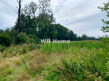 Zalesiona działka Hecznarowice