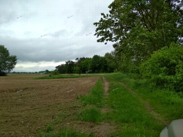 Działka Nowy Dwór Mazowiecki