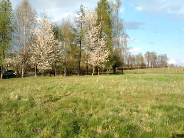 Działka budowlana Hecznarowice