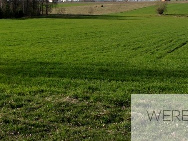 Działka siedliskowa Borysówka