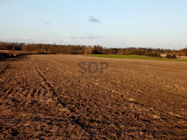 Działka Bogdaszowice