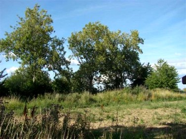 Działka siedliskowa Siadło Dolne