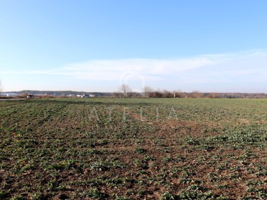 Działka Pierwoszyno