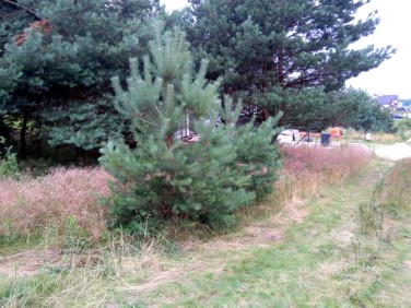 Działka budowlana Koleczkowo