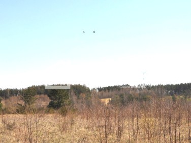 Działka inna Tokary sprzedam