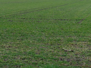 Działka inna Dębska Kuźnia