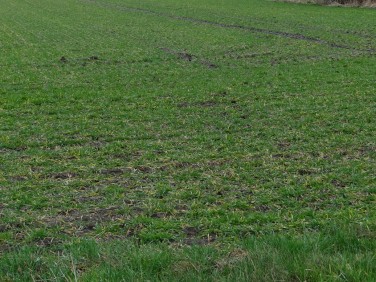 Działka inna Dębska Kuźnia